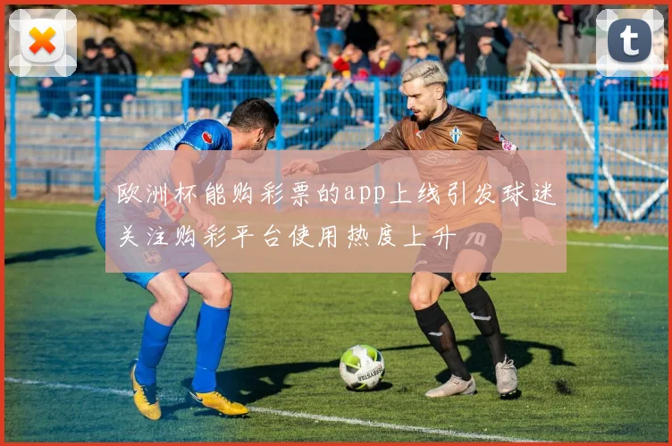 欧洲杯能购彩票的app上线引发球迷关注购彩平台使用热度上升