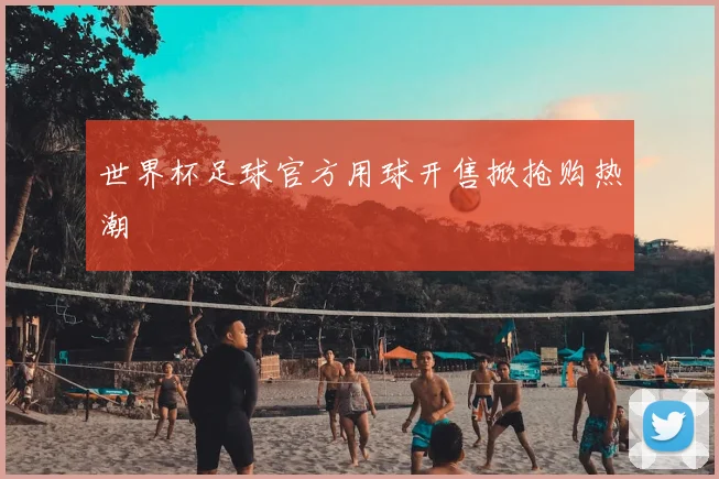 世界杯足球官方用球开售掀抢购热潮