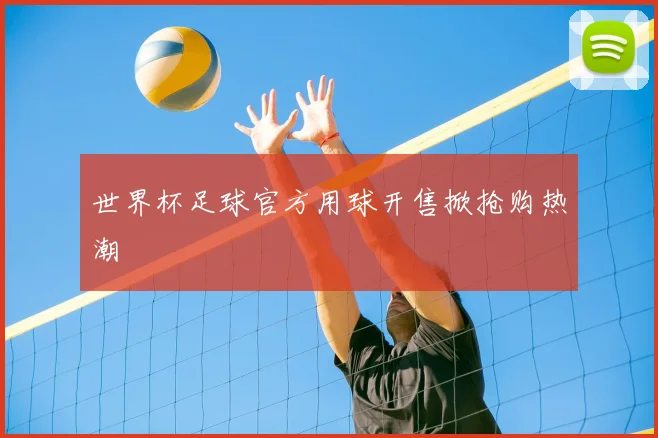 世界杯足球官方用球开售掀抢购热潮
