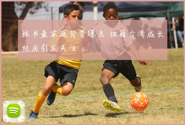 林书豪家庭背景曝光 祖籍台湾成长经历引发关注